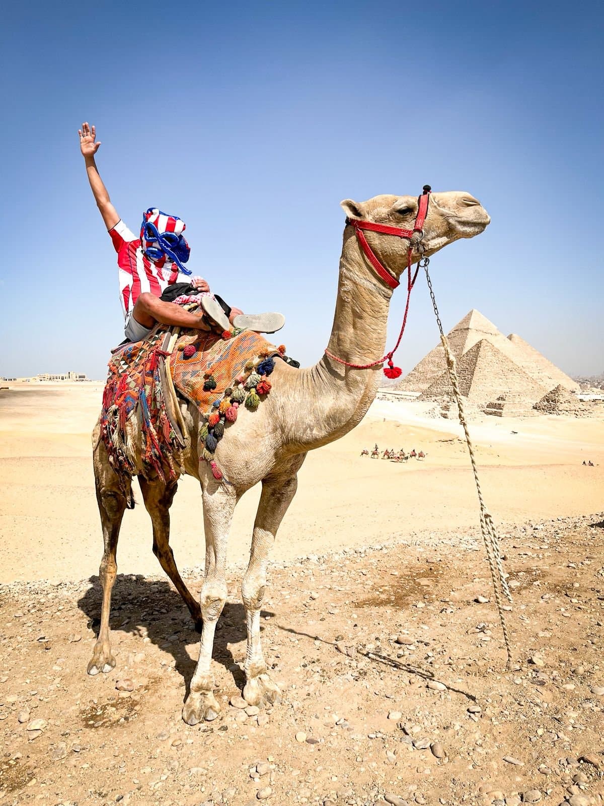 Full-Day Giza Pyramids,Sphinx & Grand Egyptian Museum